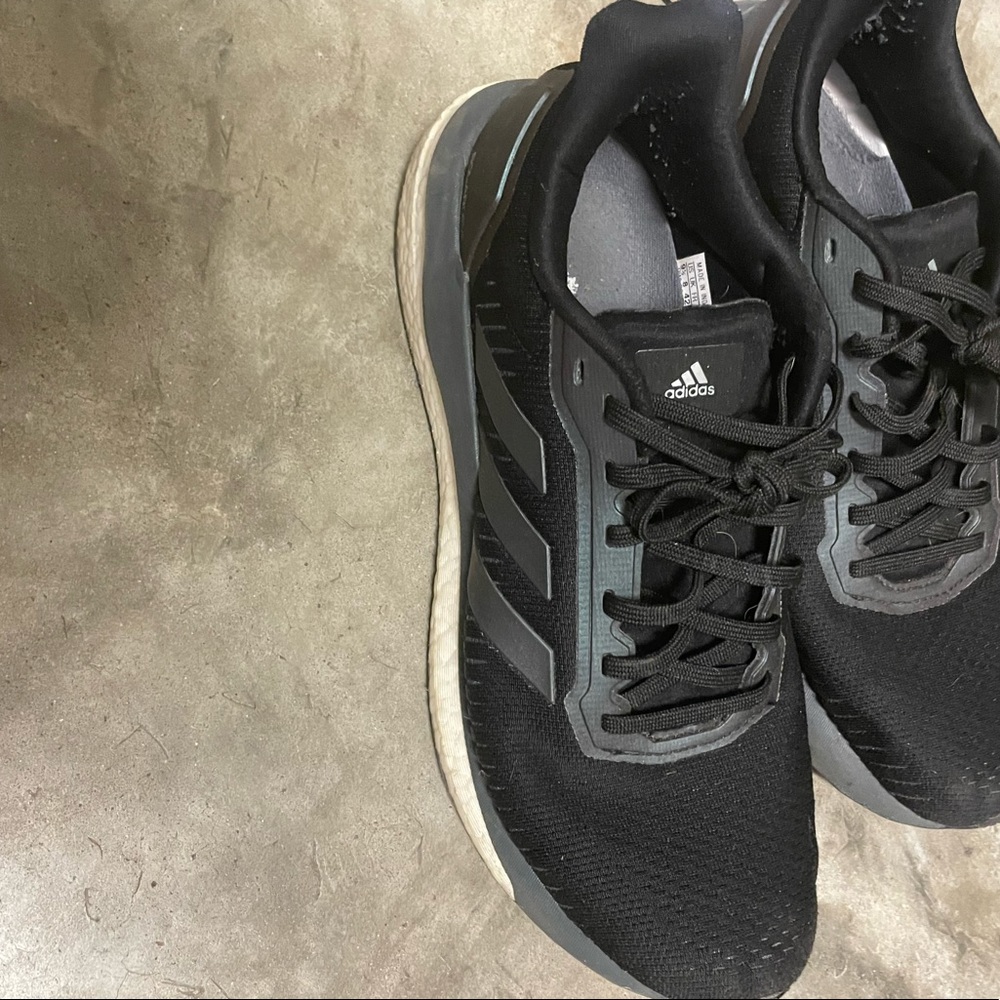 Adidas sneakers